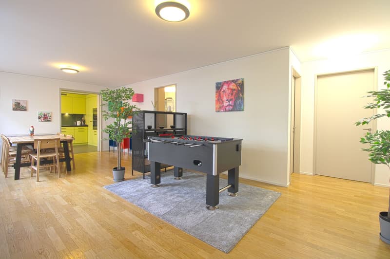 Stilvoll möbliertes Community Studio in Zürich Seebach (10)