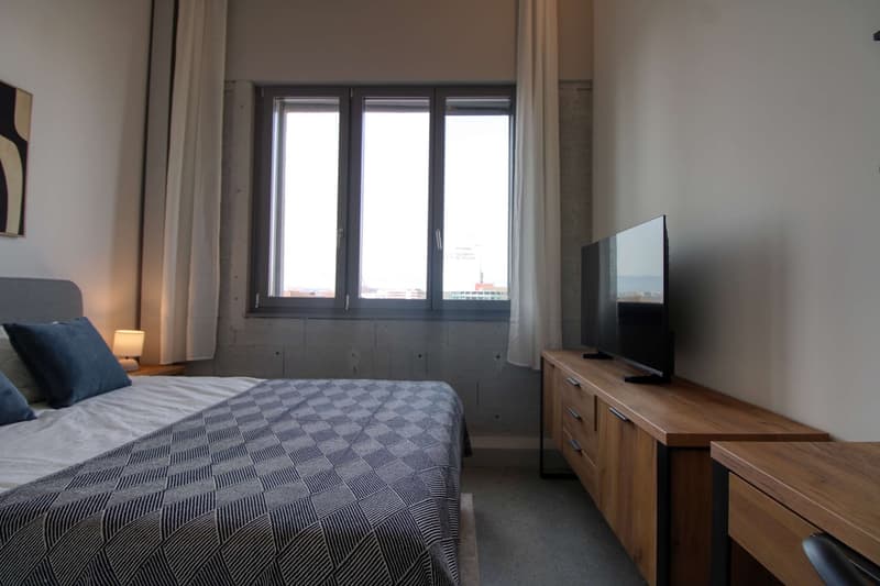 Coliving Moderne Alliant Intimité, Travail et Vie Partagée à Renens (8)