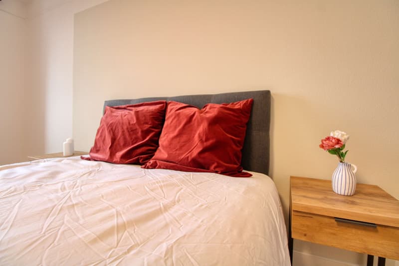 Un Appartement Coliving Moderne à l'Avenue de France à Lausanne (8)