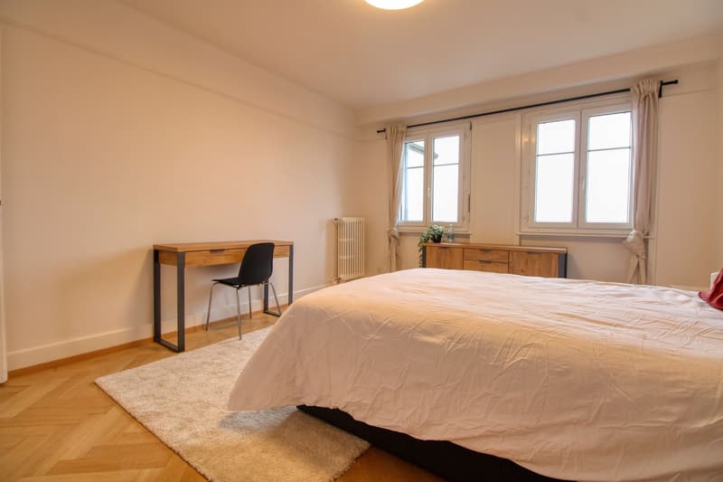 Un Appartement Coliving Moderne à l'Avenue de France à Lausanne (10)