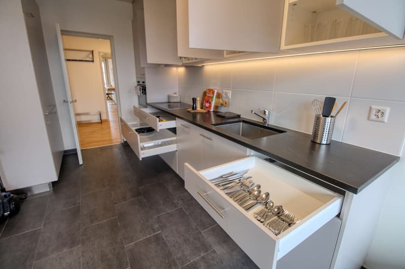 Coliving Spacieux et Confortable à Le Grand-Saconnex (7)