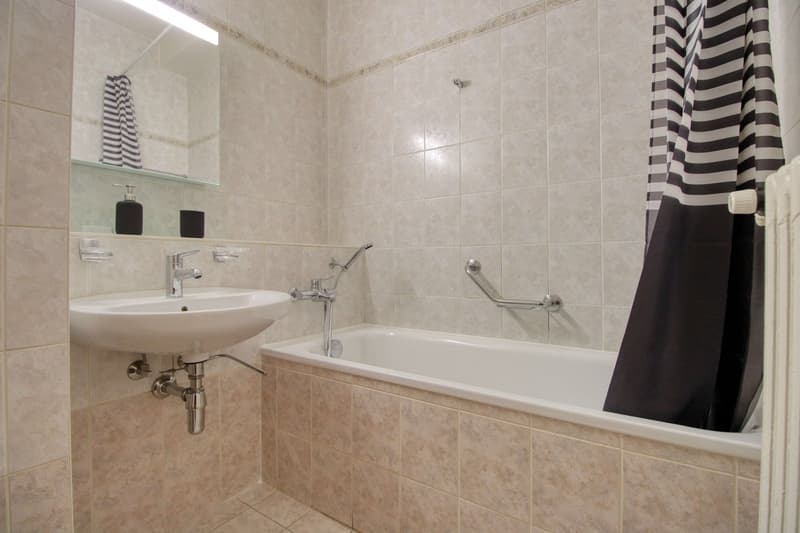 Magnifique appartement meublé en colocation, hypercentre de Genève (8)