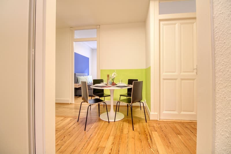 Magnifique appartement meublé en colocation, hypercentre de Genève (11)
