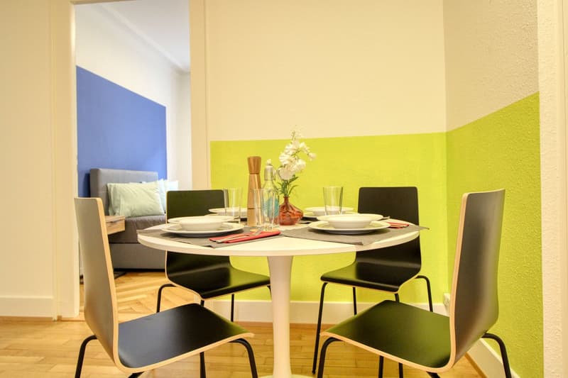 Magnifique appartement meublé en colocation, hypercentre de Genève (9)