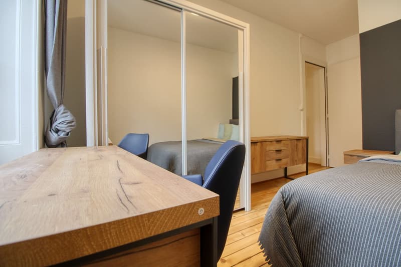 Magnifique appartement meublé en colocation, hypercentre de Genève (14)