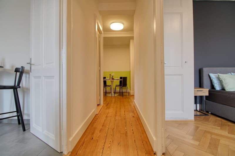 Magnifique appartement meublé en colocation, hypercentre de Genève (7)