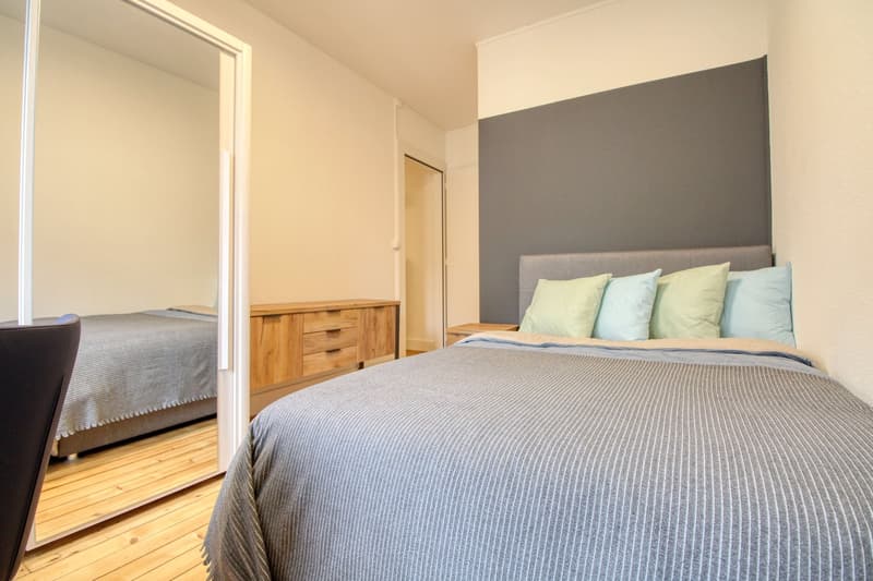 Magnifique appartement meublé en colocation, hypercentre de Genève (13)