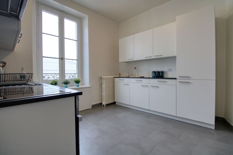 Magnifique appartement meublé en colocation, hypercentre de Genève (2)