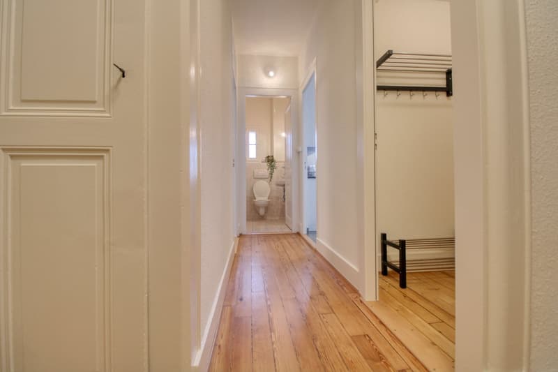Magnifique appartement meublé en colocation, hypercentre de Genève (12)