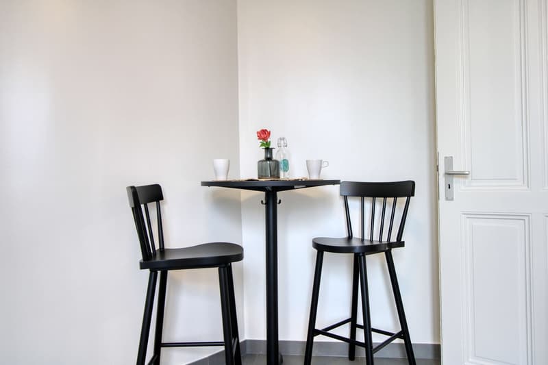 Magnifique appartement meublé en colocation, hypercentre de Genève (4)