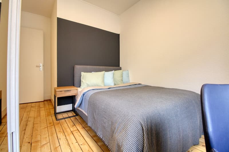 Magnifique appartement meublé en colocation, hypercentre de Genève (15)
