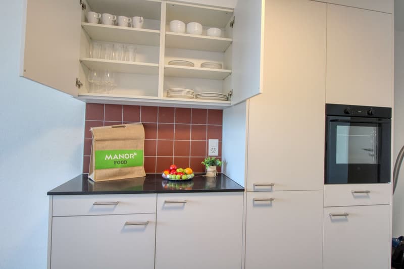 Appartement Coliving Spacieux à Crissier (18)
