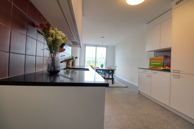 Appartement Coliving Spacieux à Crissier (12)