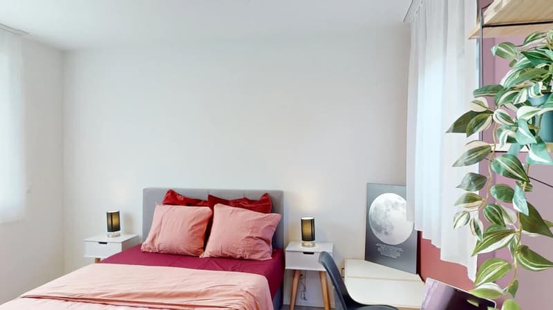 Coliving at Lily : un habitat moderne à proximité de Lausanne, de l'EPFL et de l'UNIL (3)