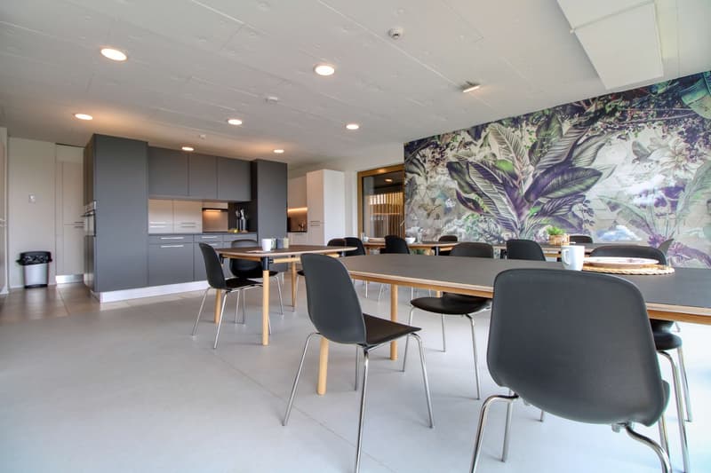 Coliving at Lily : un habitat moderne à proximité de Lausanne, de l'EPFL et de l'UNIL (14)