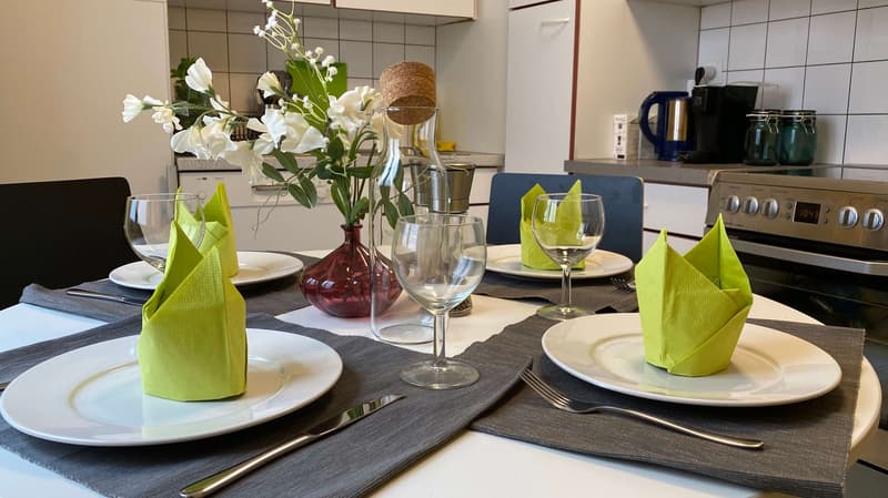 Magnifique appartement meublé en colocation, quartier Sous-Gare, Lausanne (10)