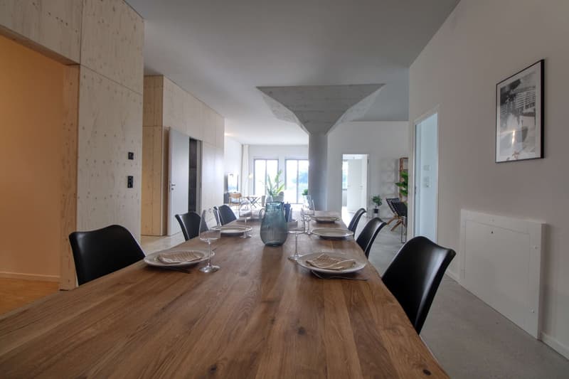 Coliving Moderne Alliant Intimité, Travail et Vie Partagée à Renens (40)