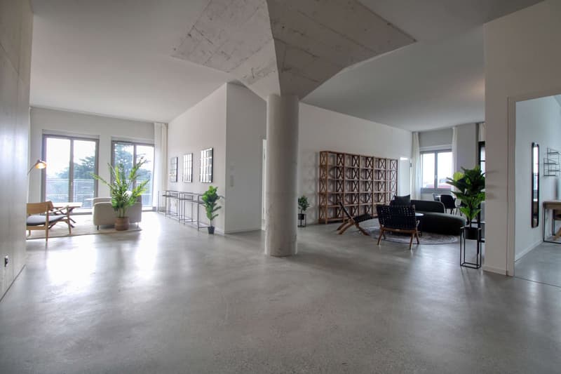 Coliving Moderne Alliant Intimité, Travail et Vie Partagée à Renens (38)