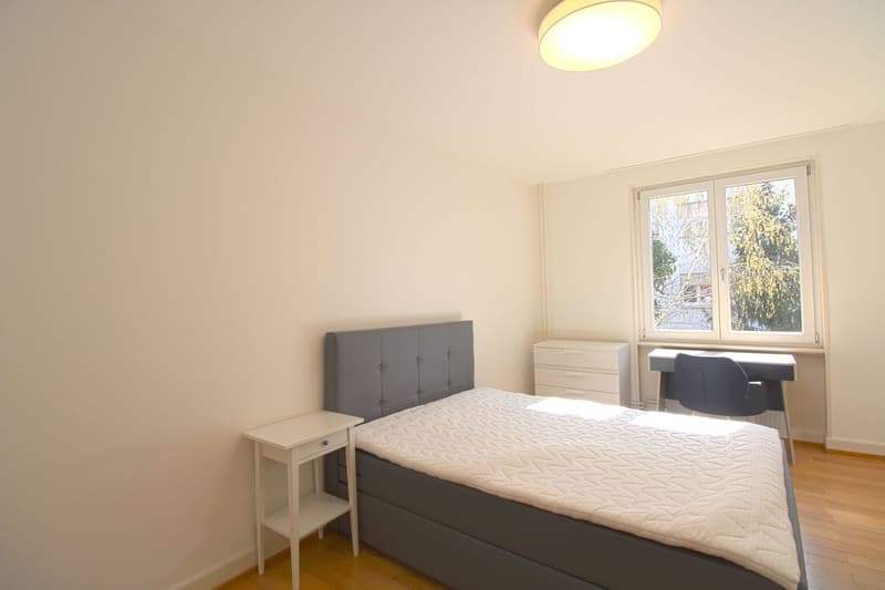 Möbliertes WG-Zimmer in Basel (3)