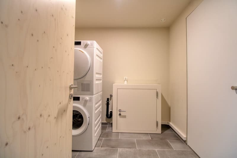 Coliving Moderne Alliant Intimité, Travail et Vie Partagée à Renens (19)
