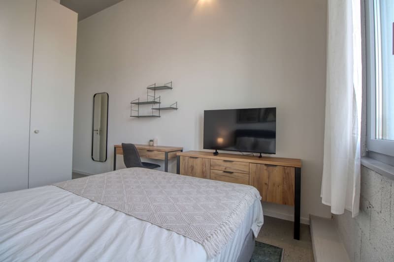 Coliving Moderne Alliant Intimité, Travail et Vie Partagée à Renens (5)