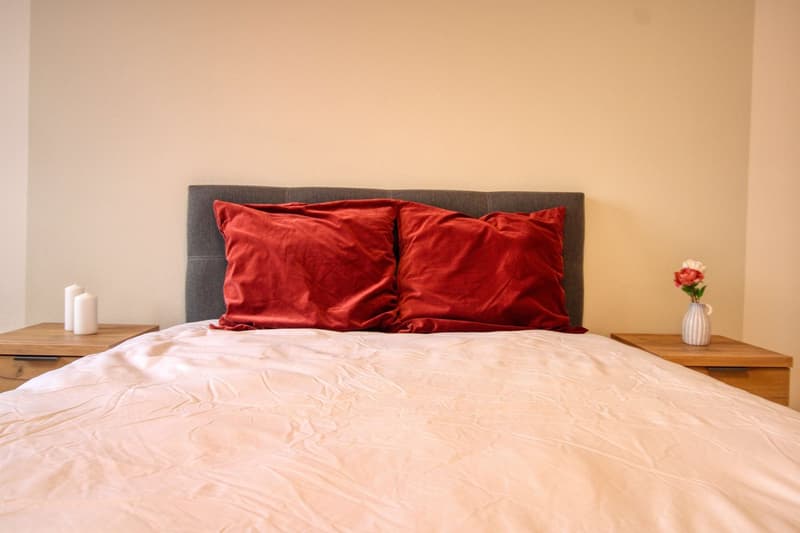 Un Appartement Coliving Moderne à l'Avenue de France à Lausanne (7)