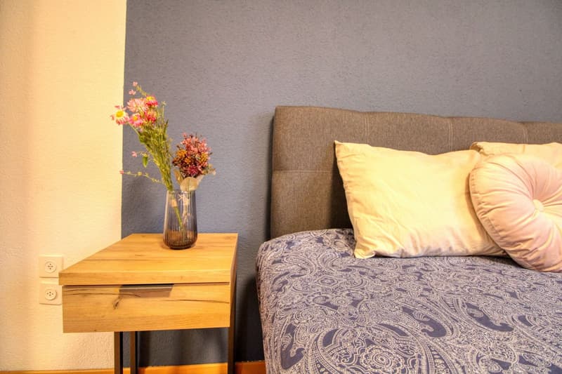 Eine moderne Coliving-Wohnung im lebhaften Wiedikon in Zürich (1)