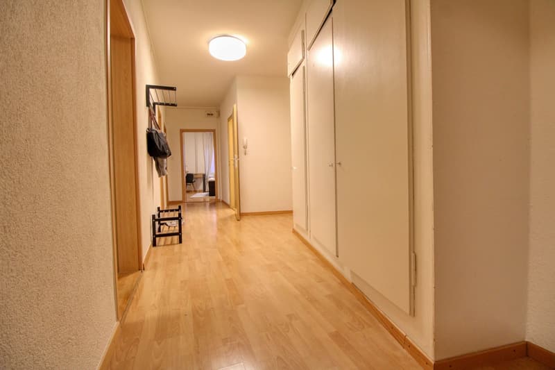 Eine moderne Coliving-Wohnung im lebhaften Wiedikon in Zürich (14)