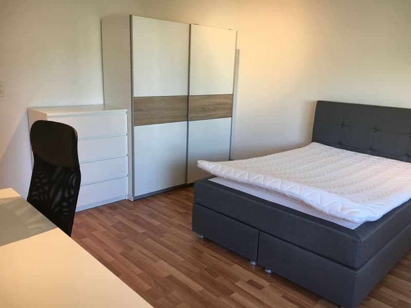 ONLINE BESICHTIGUNG - WG-Zimmer (3)