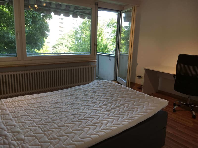 ONLINE BESICHTIGUNG - WG-Zimmer (4)