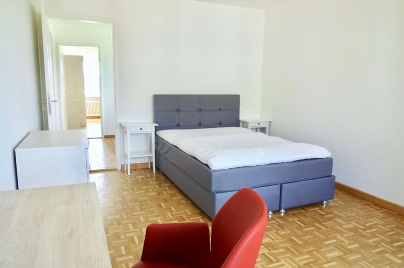 Stilvoll möbliertes WG-Zimmer an ruhiger Lage in Basel (5)