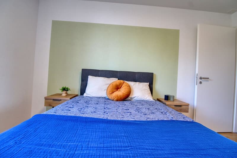 Appartement vivant spacieux à Crissier avec salle de bain privée (2)
