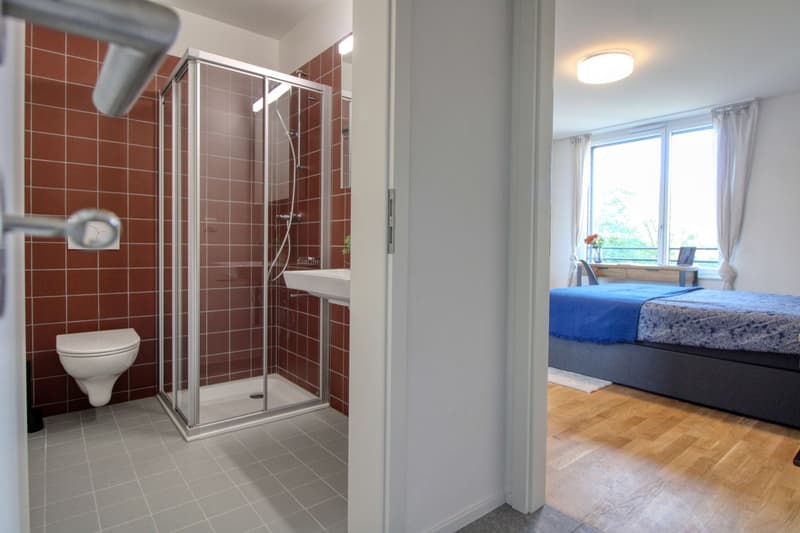 Appartement vivant spacieux à Crissier avec salle de bain privée (13)