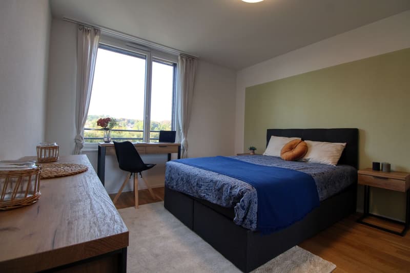 Appartement vivant spacieux à Crissier avec salle de bain privée (9)