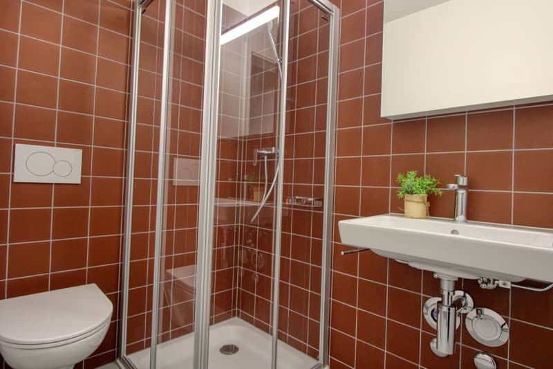 Appartement vivant spacieux à Crissier avec salle de bain privée (11)