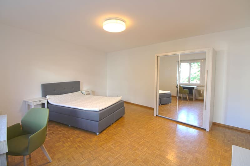 Möbliertes WG-Zimmer in der Nähe vom Claraplatz (4)