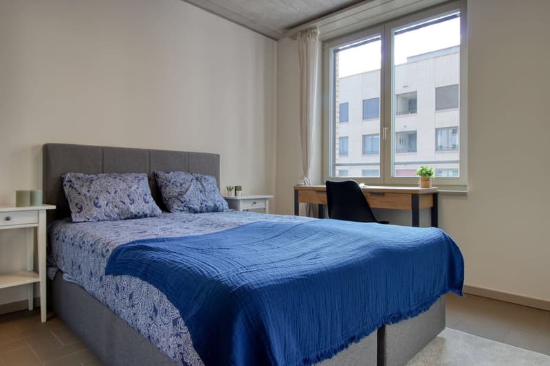 Möbliertes Studio mit eigener Küche und eigenem Bad im Neubau in Schlieren (8)