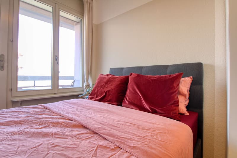 Coliving Spacieux et Moderne à Grand-Saconnex, Genève (6)