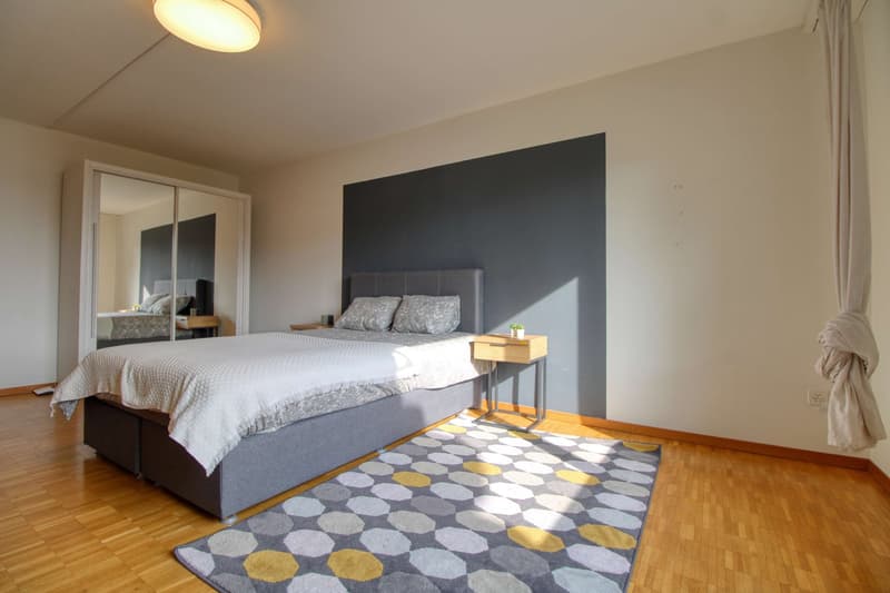 Stylish Coliving Room in Zürich (4)