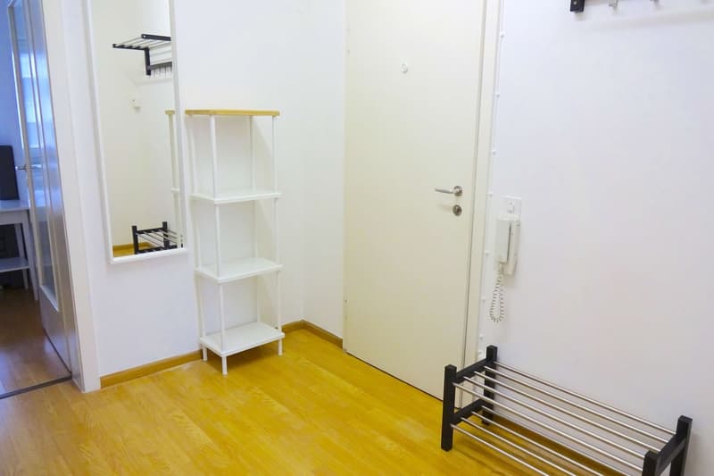 Cozy Single Room in a Flat Share – Basel, Riehenstrasse (3)