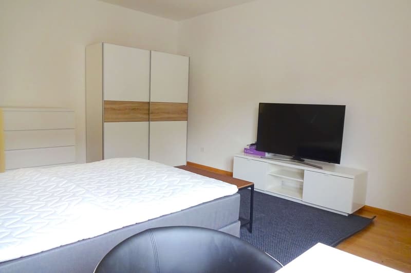 Cozy Single Room in a Flat Share – Basel, Riehenstrasse (2)