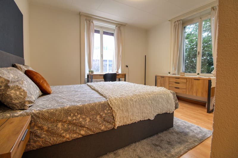 Cozy Furnished Single Room in a Flat Share – Manessestrasse, Zürich 8045 (2)
