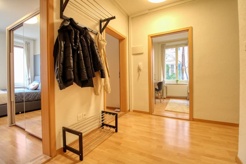 Cozy Furnished Single Room in a Flat Share – Manessestrasse, Zürich 8045 (16)