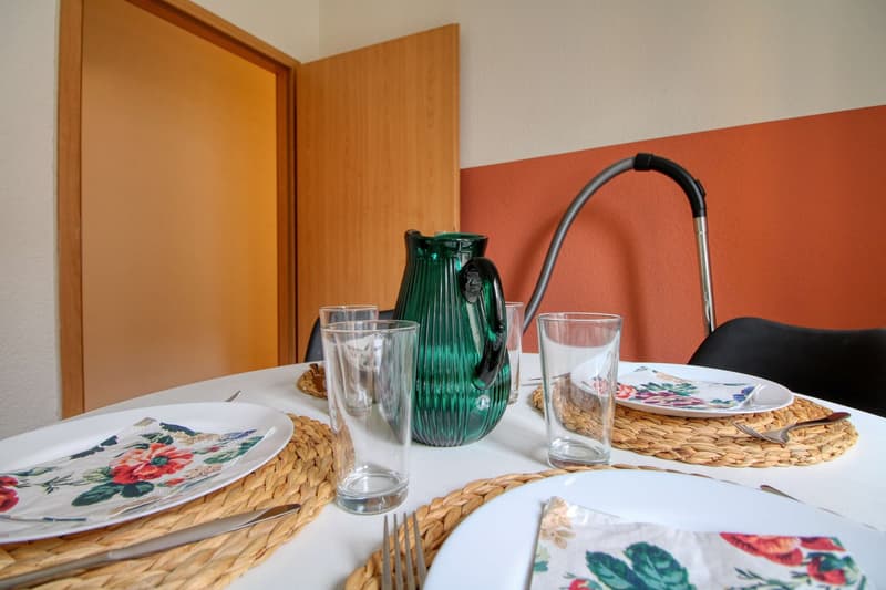 Cozy Furnished Single Room in a Flat Share – Manessestrasse, Zürich 8045 (12)