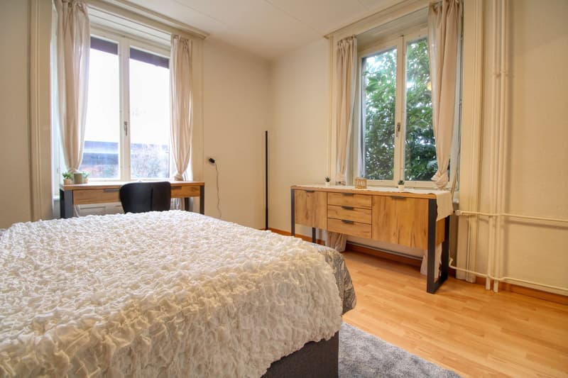 Cozy Furnished Single Room in a Flat Share – Manessestrasse, Zürich 8045 (3)