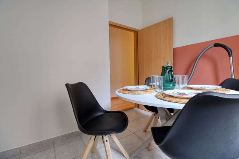 Cozy Furnished Single Room in a Flat Share – Manessestrasse, Zürich 8045 (11)