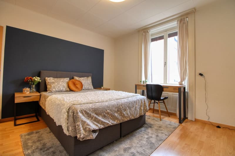 Cozy Furnished Single Room in a Flat Share – Manessestrasse, Zürich 8045 (1)