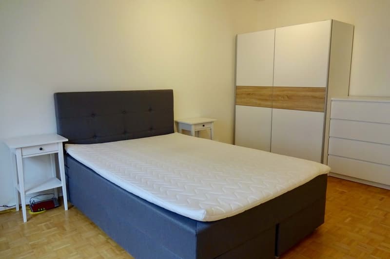 Cozy Single Room in a Flat Share – Basel, 4055 (5)