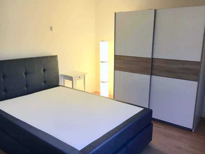 Cozy Single Room in a Flat Share – Zürich Wollishofen (1)