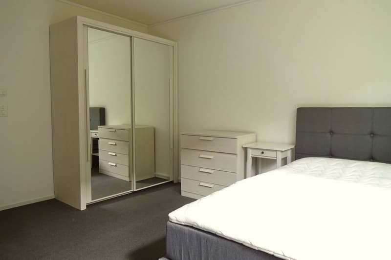 Cozy 1-Room Apartment with Balcony in a Flat-Sharing Community – Zürich Seebach (5)